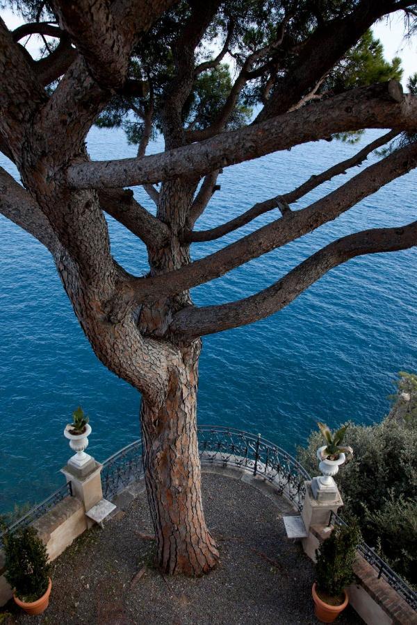 La Cervara Bed and Breakfast Santa Margherita Ligure Exteriör bild